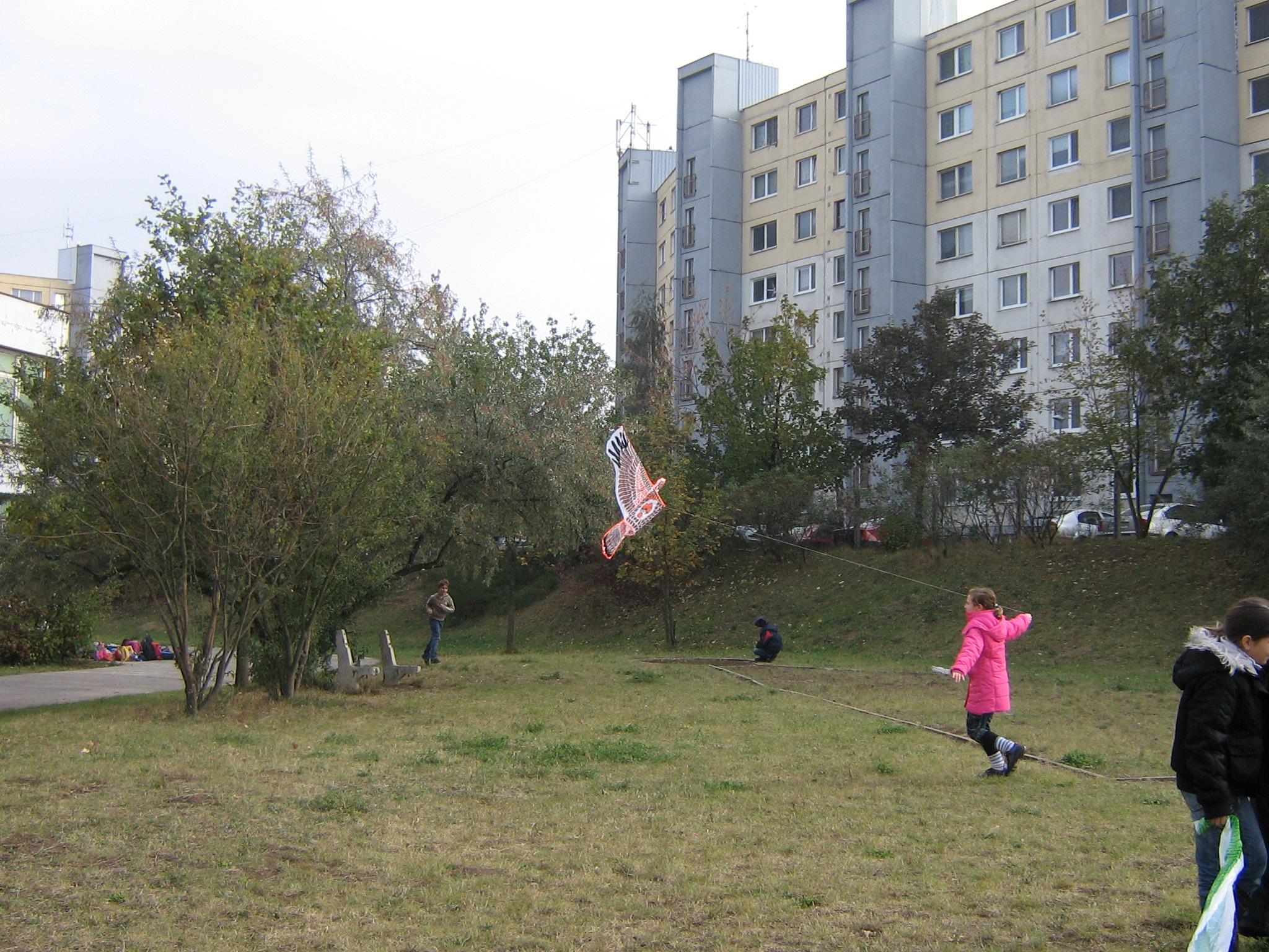 šarkany 11.JPG