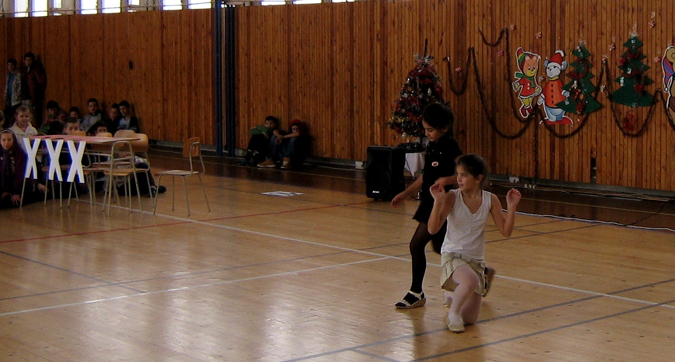 HDŠ 2009 06.jpg
